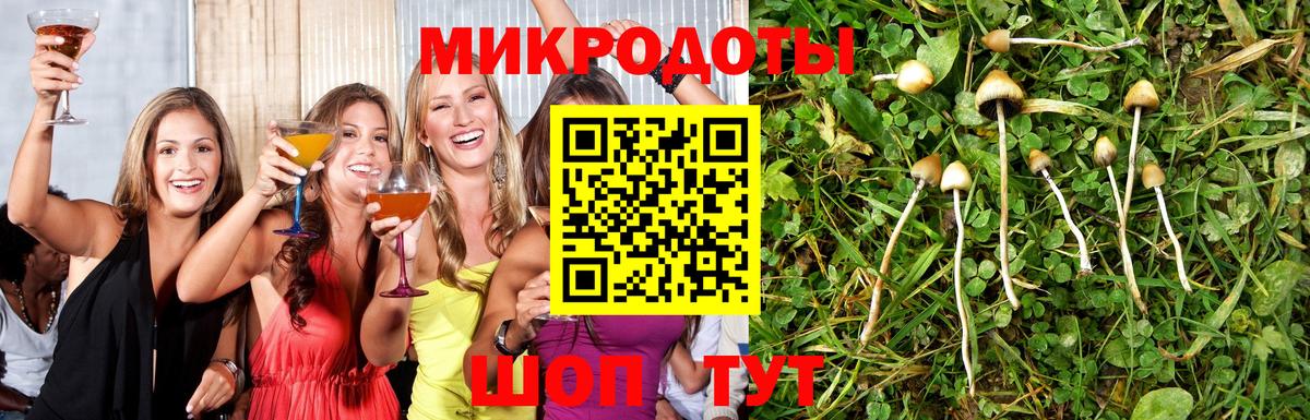 Корсаков  Псилоцибиновые грибы мицелий  Вход с VPN  Галлюциногенные грибы мухоморы 