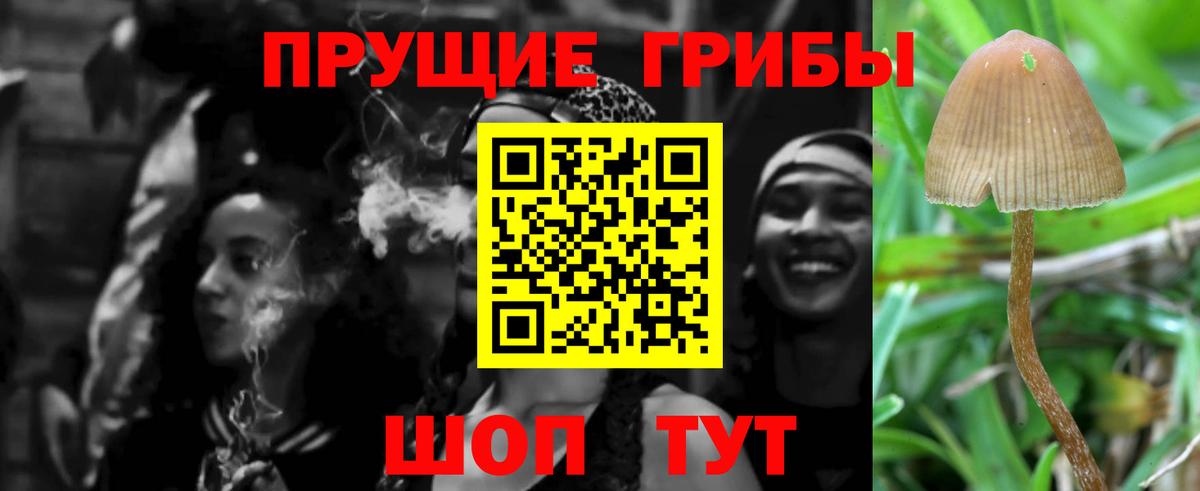 Псилоцибиновые грибы GOLDEN TEACHER Корсаков